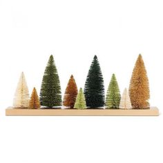 five small trees are lined up in a row on a wooden stand with white background