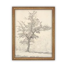 a drawing of a tree in a gold frame