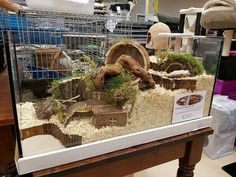 a display case filled with lots of animals inside of a caged in area on top of a wooden table