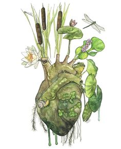 Anatomical Heart Painting, Bel Art, Art Mignon, Heart Painting, Watercolor Heart, Anatomical Heart, Arte Inspo, Sketchbook Art Inspiration, Funky Art