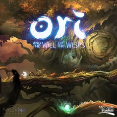 the title for ori and the will of the wisps is shown in this screenshot