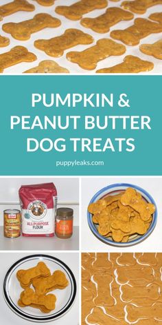 pumpkin and peanut butter dog treats with text overlay that reads pumpkin and peanut butter dog treats