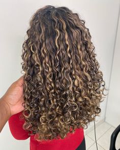 2c Hair With Highlights, Caramel Highlights On Dark Hair Wavy, Highlights On Light Brown Curly Hair, 2c Highlights, Sun Kissed Curly Hair, Golden Highlights Curly Hair, Honey Brown Curls With Highlights, Pintura Highlights Curly Caramel, Blonde Balayage On Dark Hair Curly