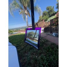 a mirror sitting on the ground in front of a palm tree and some grass with a purple frame