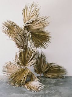 a sculpture made out of palm leaves on top of a cement floor in front of a white wall