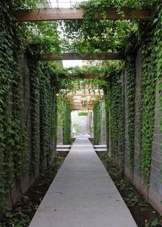 the walkway is lined with green plants and ivy growing all over it's walls