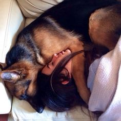 a woman laying on top of a couch next to a brown and black german shepherd