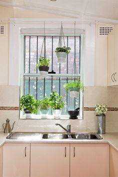 a kitchen window with potted plants hanging from it's sill above the sink