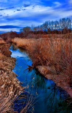 a small stream running through a dry grass covered field