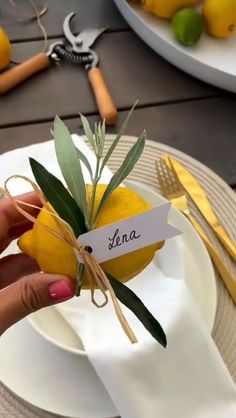 a person holding a lemon with a name tag on it and place cards in front of them