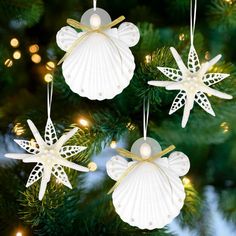 three white seashell ornaments hanging from a christmas tree