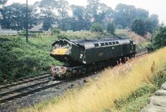 a train is traveling down the tracks near some trees and bushes in an open field