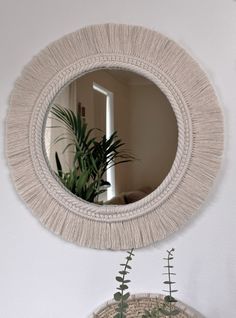 a mirror hanging on the wall above a potted plant