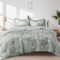 Comfort Spaces Twin\Twin XL Cozy Velvet Comforter Sets 2-Piece Luxe All Season Down Alternative Bedding Set Green Bedding Set Green, Velvet Comforter, Twin Xl, Comforter Sets, Bedding Set, 2 Piece, 3 Piece, Velvet, Queen