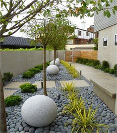 an outdoor garden with rocks and plants