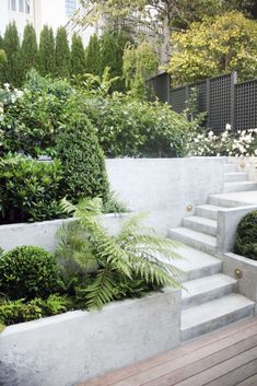 an outdoor garden with steps leading up to trees and bushes on either side of the stairs