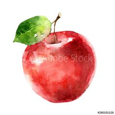 an apple painted in watercolor with a green leaf