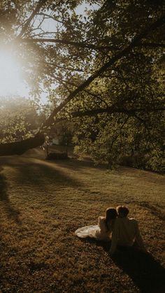 two people sitting in the grass under a tree with their backs turned to the camera