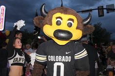 a group of cheerleaders in costume at a football game with the mascot dressed as a bison