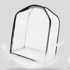 an empty glass display case with white feathers on the bottom and black trimmings