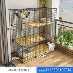 a cat is standing in front of a cage with shelves and stairs on the floor