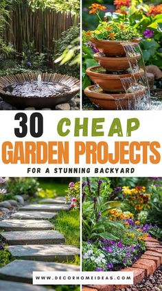 garden projects that are easy to do in the back yard