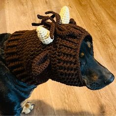 a dog wearing a knitted hat with horns