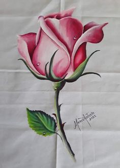 a drawing of a pink rose on white paper