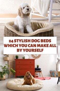 a dog sitting on top of a bed with the words, 24 stylish dog beds which you can make all by yourself