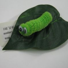 a green caterpillar on a leaf with a price tag in the back ground