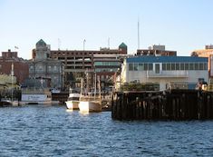 several boats are docked in the water near some buildings