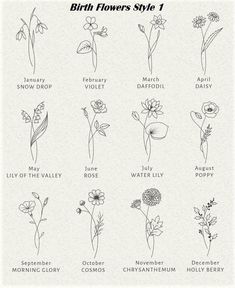 an image of flowers that are labeled in english