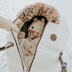 a baby in a stroller with a teddy bear on it's back and hood