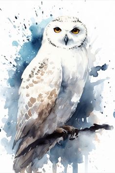 an owl is sitting on a branch with watercolor paint splatters around it