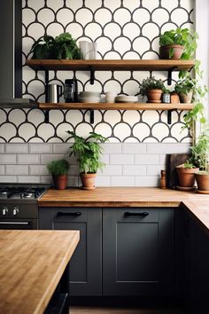 some plants are sitting on shelves in the kitchen