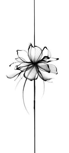 Freedom Flower Tattoo, Simple Sleeve Tattoos For Women, Elegant Tattoos For Women Classy Glamour, Xray Flower Tattoo Sleeve, Modern Tattoo Designs Unique, Back Of Neck Tattoos For Women Unique, Coolest Tattoos For Women, Love Flower Tattoo, Hip Tattoos Women Unique