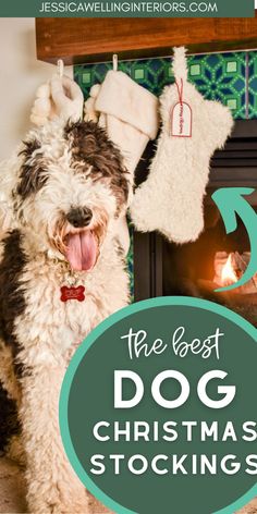 The Best Dog Christmas Stockings- shaggy dog sitting in front of a fireplace hung with dog Christmas stockings Mini Stockings, Dog Bones