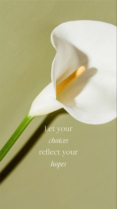 a white flower with the words let your choices reflect your hopes on it's side