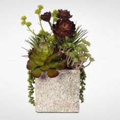 an arrangement of succulents and other plants in a silver square planter