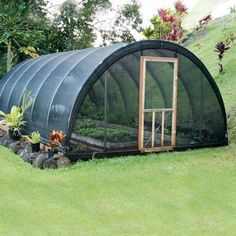 a small greenhouse in the middle of a grassy area with flowers and plants growing inside