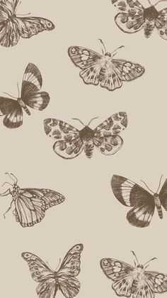 a bunch of butterflies that are on a white background with black and brown inks