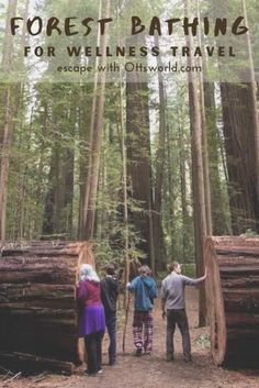 three people are standing in the woods with logs