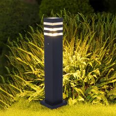 an outdoor light in the middle of some grass and plants with bushes behind it,