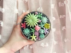 a hand holding a small glass container filled with fake succulents and flowers