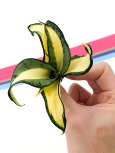 a person is holding up a flower shaped like a plant with green and yellow petals