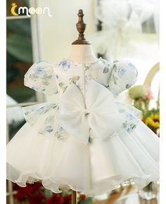 Get 10% off now! Buy ruffled ballgown organza flower girl dress with floral prints at cheap price online. Free stable shipping and pro custom service since 2009. White Ruffled Princess Dress For Garden Party, Spring Wedding Princess Dress In Organza, Spring Wedding Organza Princess Dress, Summer Ruffled Princess Dress For First Communion, Summer First Communion Princess Dress With Ruffles, Summer Princess Dress With Ruffles For First Communion, White Princess Dress With Ruffles In Organza, White Organza Princess Dress With Ruffles, Spring Ruffled Ball Gown For Dress-up