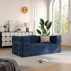 a living room filled with furniture and a large potted plant on top of a blue couch