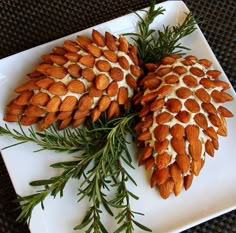 two pine cones are sitting on a white plate next to evergreen branches and pine cones