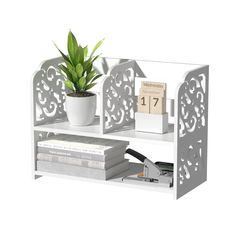 a white shelf with a potted plant and books