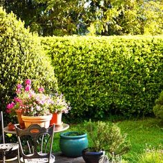 an outdoor patio with potted plants and chairs